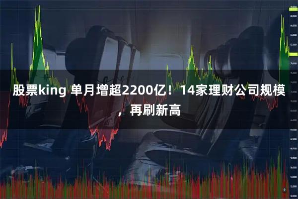 股票king 单月增超2200亿！14家理财公司规模，再刷新高